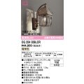 オーデリック　OG254039LCR(ランプ別梱)　エクステリア ポーチライト LEDランプ 電球色 別売センサー対応 防雨型 鉄錆色
