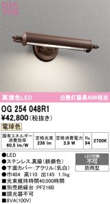 オーデリック　OG254048R1　エクステリア 表札灯 LED一体型 電球色 防雨型 鉄錆色