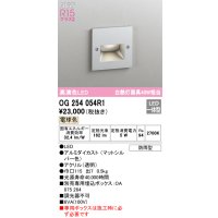 オーデリック OG254054R1 エクステリア グランドアップライト LED一体型 電球色 高演色LED R15 防雨型 マットシルバー