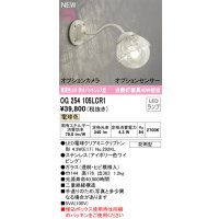 オーデリック OG254105LCR1(ランプ別梱) エクステリア ポーチライト LED 電球色 高演色LED R15 防水パッキンレス型 防雨型 アイボリー