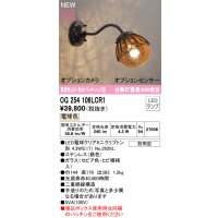 オーデリック OG254106LCR1(ランプ別梱) エクステリア ポーチライト LED 電球色 高演色LED R15 防水パッキンレス型 防雨型 鉄色