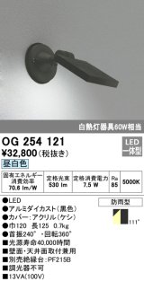 エクステリアスポットライト オーデリック　OG254121　LED 昼白色