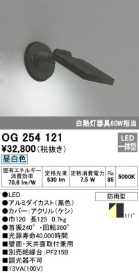 エクステリアスポットライト オーデリック　OG254121　LED 昼白色