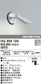 エクステリアスポットライト オーデリック　OG254124　LED 電球色
