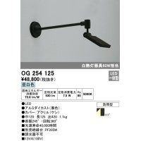 ガーデンライト オーデリック　OG254125　LED 昼白色
