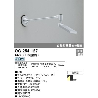 画像1: ガーデンライト オーデリック　OG254127　LED 昼白色