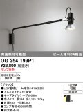 オーデリック　OG254199P1　エクステリア スポットライト ランプ別売 LEDランプ 防雨型 ブラック