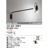 オーデリック　OG254199P1　エクステリア スポットライト ランプ別売 LEDランプ 防雨型 ブラック