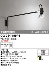 オーデリック　OG254199P1　エクステリア スポットライト ランプ別売 LEDランプ 防雨型 ブラック