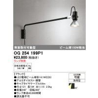オーデリック　OG254199P1　エクステリア スポットライト ランプ別売 LEDランプ 防雨型 ブラック