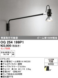 オーデリック　OG254199P1　エクステリア スポットライト ランプ別売 LEDランプ 防雨型 ブラック