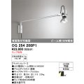 オーデリック　OG254200P1　エクステリア スポットライト ランプ別売 LEDランプ 防雨型 マットシルバー