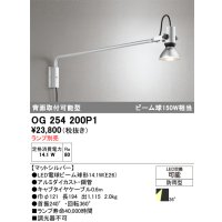 オーデリック　OG254200P1　エクステリア スポットライト ランプ別売 LEDランプ 防雨型 マットシルバー