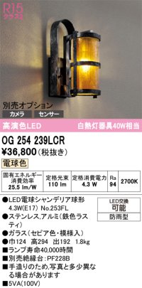 オーデリック　OG254239LCR(ランプ別梱)　エクステリア ポーチライト LEDランプ 電球色 別売センサー対応 防雨型 鉄色ラスティ