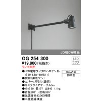 オーデリック　OG254300　エクステリアスポットライト φ50LED電球ダイクロハロゲン形 ランプ別売