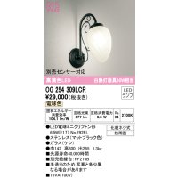 オーデリック　OG254309LCR　エクステリア ポーチライト LEDランプ 電球色 防雨型 マットブラック