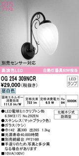 オーデリック　OG254309NCR(ランプ別梱)　エクステリア ポーチライト LEDランプ 昼白色 防雨型 マットブラック