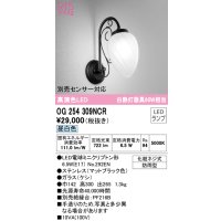 オーデリック　OG254309NCR(ランプ別梱)　エクステリア ポーチライト LEDランプ 昼白色 防雨型 マットブラック