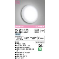 オーデリック　OG254317R　バスルームライト 非調光 LED一体型 昼白色防雨・防湿型
