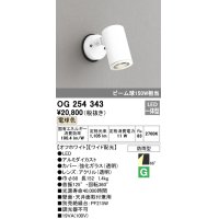 照明器具 オーデリック　OG254343　エクステリアスポットライト LED一体型 ビーム球150W相当 電球色タイプ ワイド配光