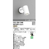 照明器具 オーデリック　OG254346　エクステリアスポットライト LED一体型 ビーム球150W相当 電球色タイプ ミディアム配光
