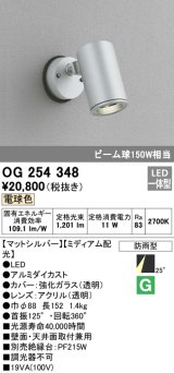 照明器具 オーデリック　OG254348　エクステリアスポットライト LED一体型 ビーム球150W相当 電球色タイプ ミディアム配光