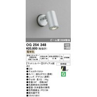 照明器具 オーデリック　OG254348　エクステリアスポットライト LED一体型 ビーム球150W相当 電球色タイプ ミディアム配光
