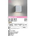 オーデリック　OG254381R　エクステリア ポーチライト LED一体型 電球色 上下配光 防雨型 マットシルバー