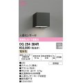 オーデリック　OG254384R　エクステリア ポーチライト LED一体型 電球色 下面配光 人感センサー付 防雨型 ブラック