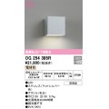 オーデリック　OG254385R　エクステリア ポーチライト LED一体型 電球色 下面配光 防雨型 マットシルバー