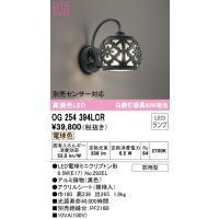 オーデリック　OG254394LCR(ランプ別梱)　エクステリア ポーチライト LEDランプ 電球色 防雨型 ブラック