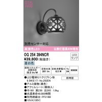 オーデリック　OG254394NCR(ランプ別梱)　エクステリア ポーチライト LEDランプ 昼白色 防雨型 ブラック