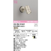 オーデリック　OG254513LR　エクステリア スポットライト LEDランプ 電球色 防雨型 マットウォームシルバー
