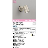 オーデリック　OG254513NR(ランプ別梱)　エクステリア スポットライト LEDランプ 昼白色 防雨型 マットウォームシルバー