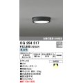 オーデリック　OG254517　エクステリアダウンライト(軒下用) LED一体型 非調光 白熱灯100W相当 昼白色 ブラック