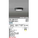 オーデリック　OG254517　エクステリアダウンライト(軒下用) LED一体型 非調光 白熱灯100W相当 昼白色 ブラック