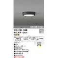 オーデリック　OG254518　エクステリアダウンライト(軒下用) LED一体型 非調光 白熱灯100W相当 電球色 ブラック