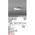 オーデリック　OG254519　エクステリアダウンライト(軒下用) LED一体型 非調光 白熱灯100W相当 昼白色 マットシルバー