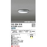 オーデリック　OG254519　エクステリアダウンライト(軒下用) LED一体型 非調光 白熱灯100W相当 昼白色 マットシルバー