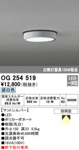 オーデリック　OG254519　エクステリアダウンライト(軒下用) LED一体型 非調光 白熱灯100W相当 昼白色 マットシルバー