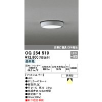 オーデリック　OG254519　エクステリアダウンライト(軒下用) LED一体型 非調光 白熱灯100W相当 昼白色 マットシルバー