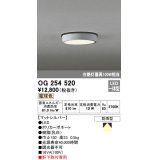 オーデリック　OG254520　エクステリアダウンライト(軒下用) LED一体型 非調光 白熱灯100W相当 電球色 マットシルバー