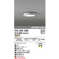 オーデリック　OG254520　エクステリアダウンライト(軒下用) LED一体型 非調光 白熱灯100W相当 電球色 マットシルバー