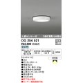 オーデリック　OG254521　エクステリアダウンライト(軒下用) LED一体型 人感センサ ON-OFF型 白熱灯100W相当 昼白色