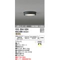 オーデリック　OG254524　エクステリアダウンライト(軒下用) LED一体型 人感センサ ON-OFF型 白熱灯100W相当 電球色
