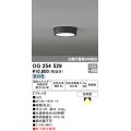 オーデリック　OG254529　エクステリアダウンライト(軒下用) LED一体型 非調光 白熱灯60W相当 昼白色 ブラック