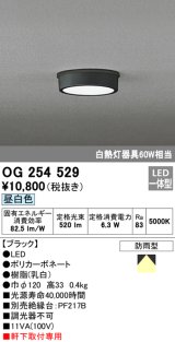 オーデリック　OG254529　エクステリアダウンライト(軒下用) LED一体型 非調光 白熱灯60W相当 昼白色 ブラック