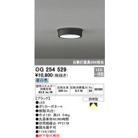 オーデリック　OG254529　エクステリアダウンライト(軒下用) LED一体型 非調光 白熱灯60W相当 昼白色 ブラック