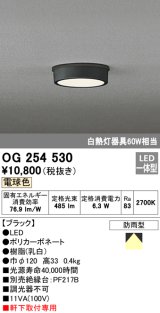 オーデリック　OG254530　エクステリアダウンライト(軒下用) LED一体型 非調光 白熱灯60W相当 電球色 ブラック