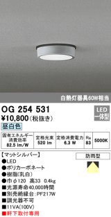 オーデリック　OG254531　エクステリアダウンライト(軒下用) LED一体型 非調光 白熱灯60W相当 昼白色 マットシルバー